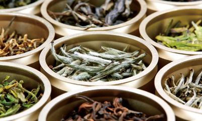 杜國楹 以創(chuàng)新重塑品牌認(rèn)知，憑品質(zhì)成就茶葉價(jià)值