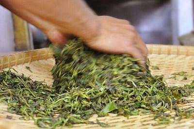 普洱茶制作技藝 殺青，茶味定格的“關鍵手”