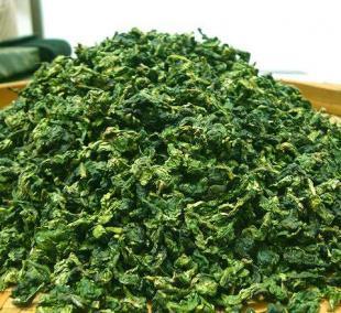 安溪鐵觀音 秋茶正當時，品味閩寶一號的醇香