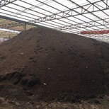 解碼廣鼎生物發酵雞糞有機肥 綠色種植的“黑金”能量